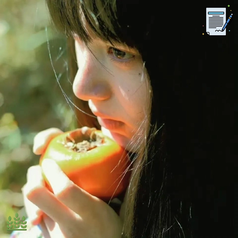 石桥